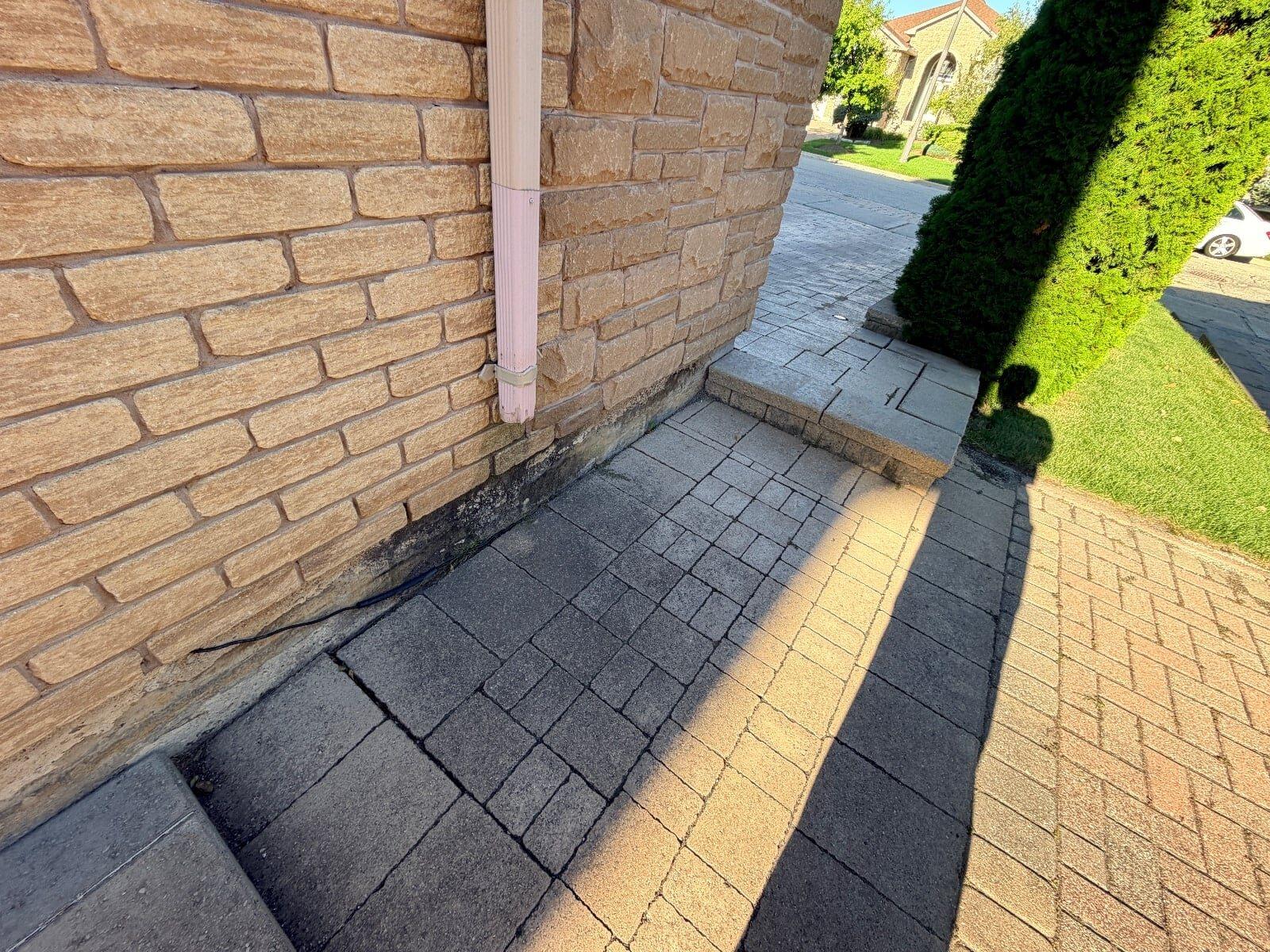 Garden design work by 365 Landscape
