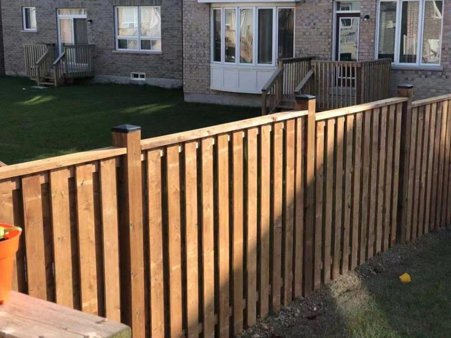 Wood privacy fence dividing neighbouring backyard lawns