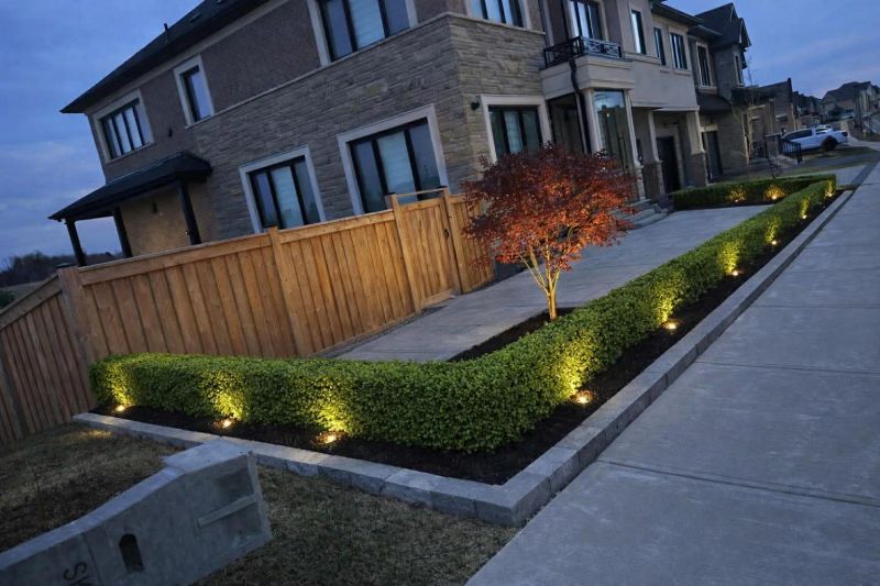 Garden hedge with landscape lighting at dusk